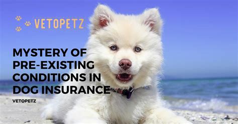 dog insurance for existing conditions.